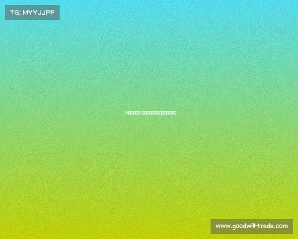 10年只开不修 汉兰达带给我们全家快乐与欢笑