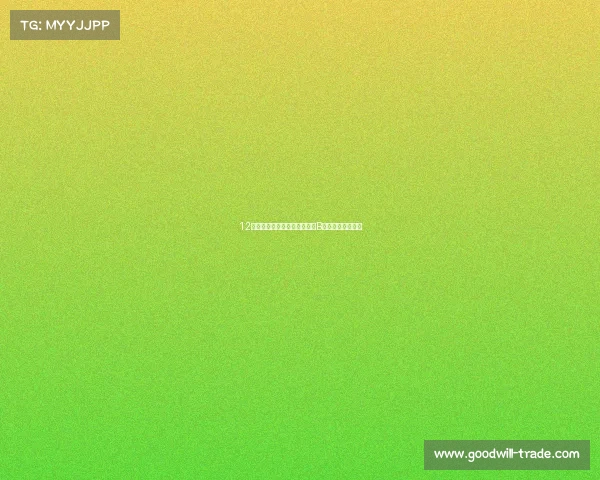 12万拿下准新帕萨特，体验德系B级车的稳重与舒适